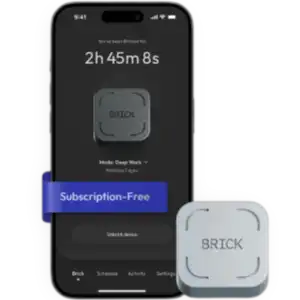 The Brick — Phone Access Blocker Device__300